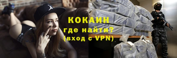 стаф Алзамай