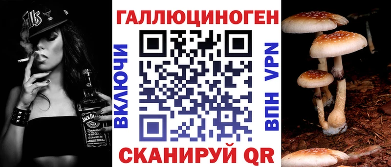 Псилоцибиновые грибы Cubensis  Ужур 